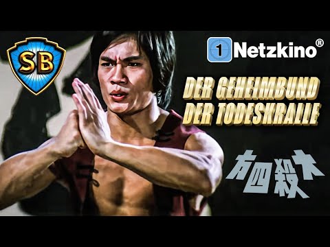 The Rebel Intruders (SHAW BROTHERS MARTIAL ARTS ACTION Classic Movies German Complete)