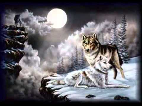 Слава Исетский мл и Мастер Грёз - Моя волчица