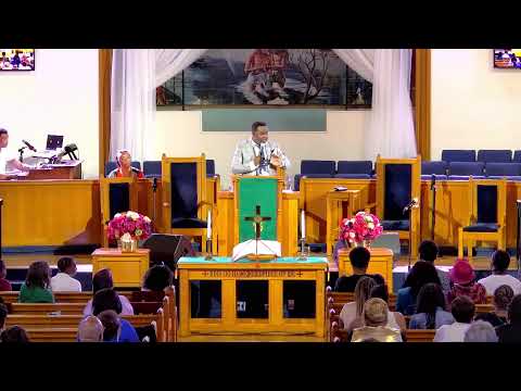 Welcome to the Union Experience