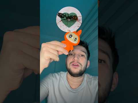 Labubu hangi hayvanî kavgada alır