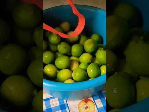 miren que chulada de