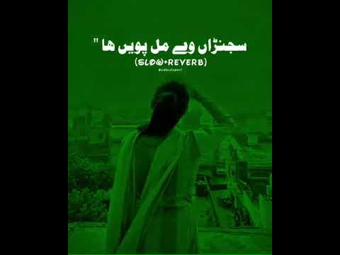 Adi wadi Gal Koi Nahi #saraikisong