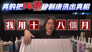 我用18個月，真的把14種矽利康洗出真相！