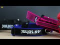 Видео о товаре Color & Gray® Collar with handle and safety lock, ошейник для собак, с ручкой / Julius-K9 (Венгрия)