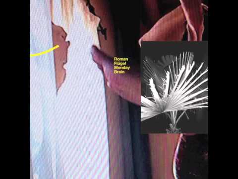 Roman Flügel - Teenage Engineering (Hypercolour)