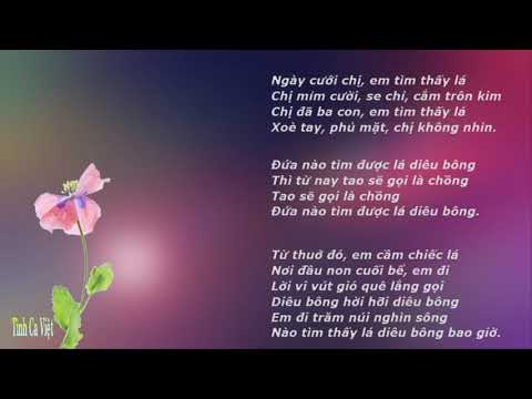 Lá diêu bông - Ý Lan