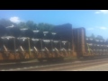 CSX Mixed Freight Train With Old Lady Old Grandma Idiot