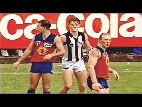 Fitzroy Lions vs Collingwood Magpies - Round 9 - 1993 - Slog In A Bog