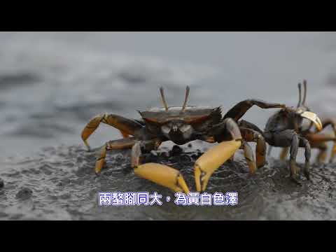 ☺ 圖片待補 ☺