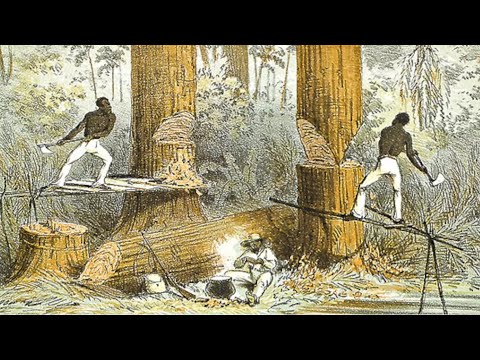 The History of Belize