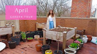 April Container Garden Tour | Rooftop Balcony Garden