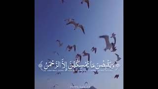 Download lagu حالات واتس اب قرآن ك mp3