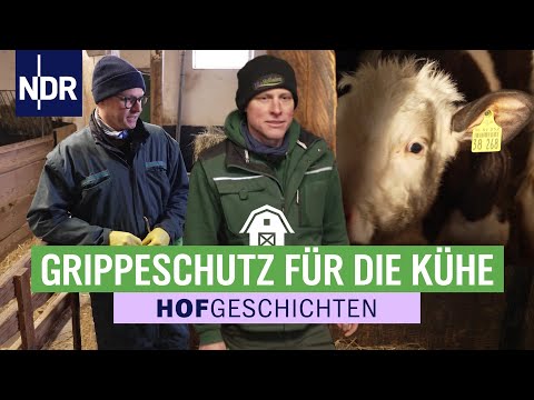 Auf Herz und Nieren: der Tierarzt ist bei Marko Ladewig zu Besuch | Hofgeschichten (362) | NDR