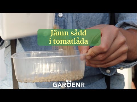 Jämn sådd i tomatlåda - Trädgårdshacks med GardenR