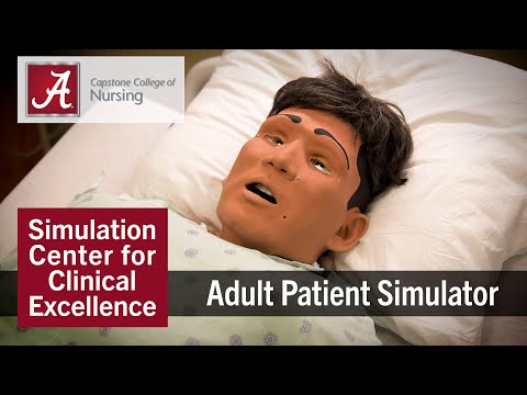 UA CCN Simulation Center for Clinical Excellence: Adult Patient Simulator