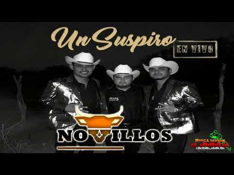 Un Suspiro (En Vivo 2021) - Novillos De La Sierra