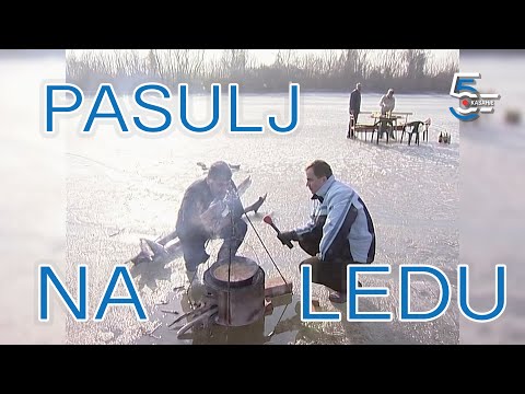 Pasulj na zaleđenom dunavcu