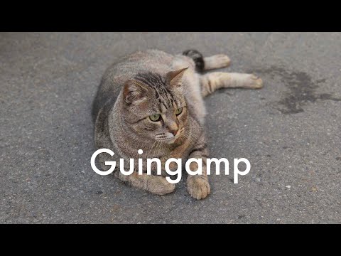 Street Photography in Guingamp, Brittany, France