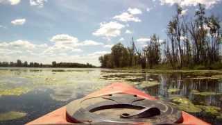 preview picture of video 'Kayaking in Almonte'