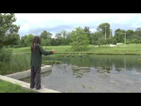 Hydrokinesis (Daniel)