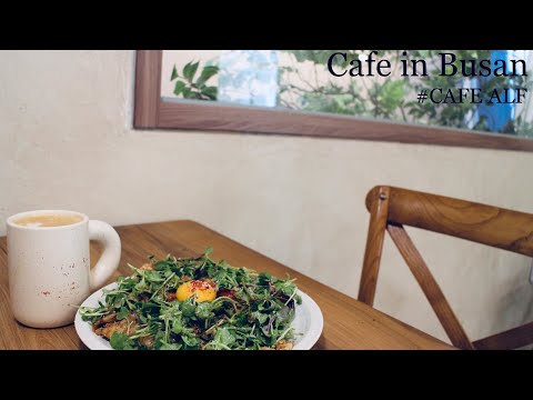 [Cafe Vlog] Introdução ao café Busan | CAFE ALF