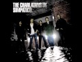 THE CHARLATANS - For your entertainment
