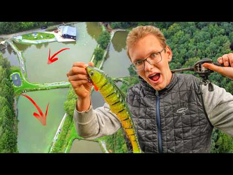 Monster pike is devouring the trout pond! We must catch and slaughter it!