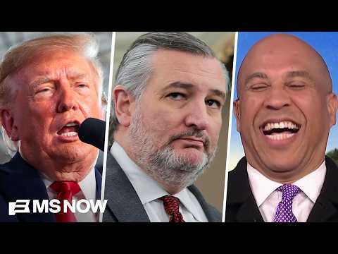 'He is the commander-in-cheat!': Booker SLAMS Trump's election fraud claims