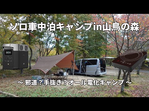 YouTubeで公開している、山鳥の森オートキャンプ場でのオール電化キャンプおよび新施設・サイト設備状況の解説動画