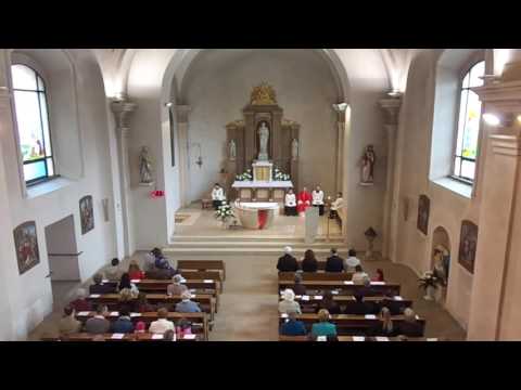 JKS 217 - Duchu svätý príď z neba (Veni, Sancte Spiritus)