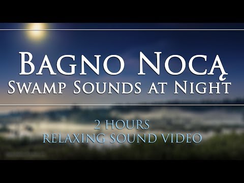 🎧 [DEEP RELAX] 🔊 Dźwięki BAGNA NOCĄ Żaby Świerszcze | SWAMP SOUNDS at Night Frogs Crickets