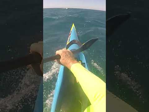 WHY YOU SHOULD FOLLOW YOUR NOSE