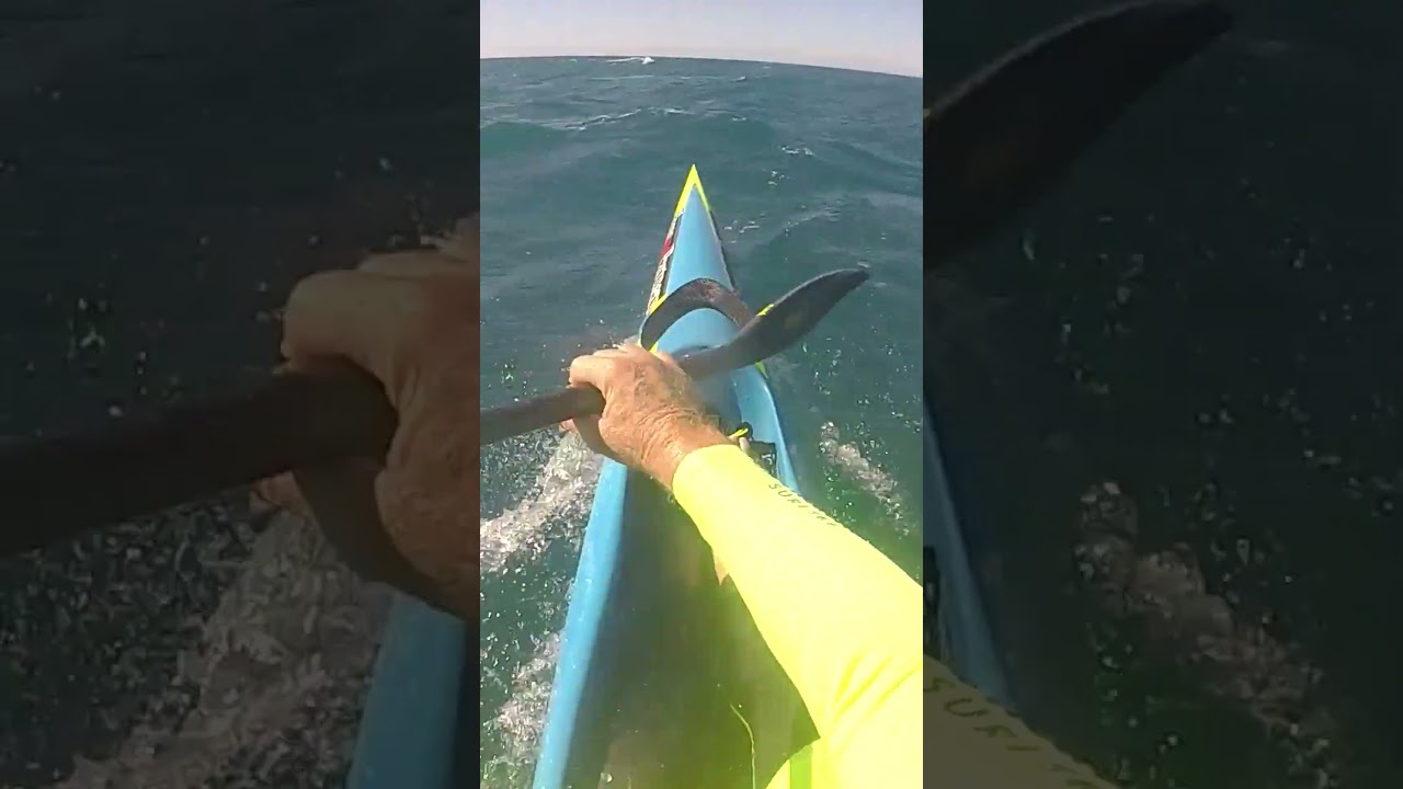 WHY YOU SHOULD FOLLOW YOUR NOSE