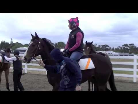 Charge Forward Filly video