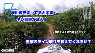 20260527 河川敷で2回目のサイレンサー比較をしてたらキジが飛び入りしてきた。