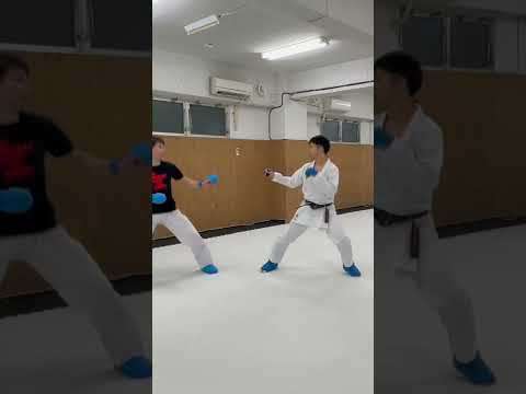【カウンターの練習】逆突きバージョン