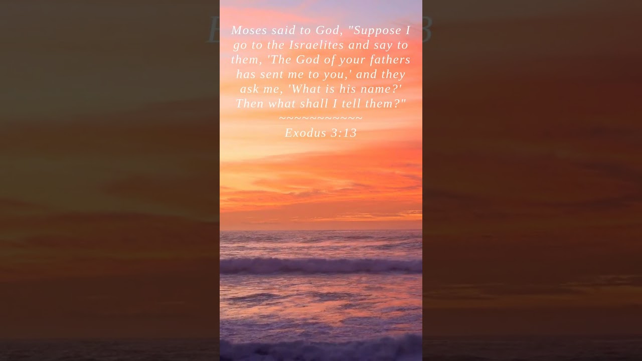 Bible | Exodus 3:13 | Moses said to God Suppose I go...
