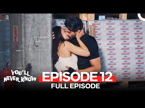 Love Undercover Episode 12