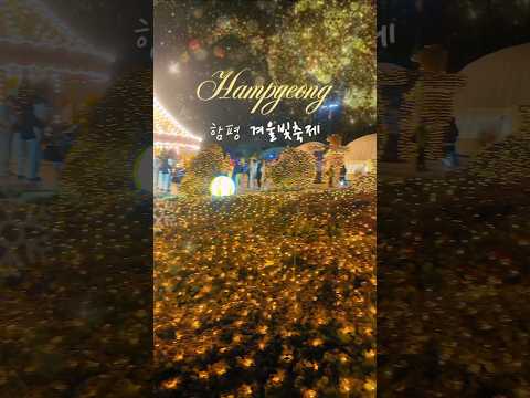 전남 함평겨울빛축제 2025 #함평빛축제 ❄️🎄 #함평축제 #함평겨울빛축제 #Hampyeong #전남 #함평 #광주근교 #전남가볼만한곳 #함평가볼만한곳 #광주근교가볼만한곳