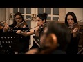 Sound of the Shire (Lord of the Rings) | Summer Orchestra | Maestro Douglas Gomes