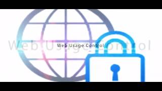 Work Examiner video