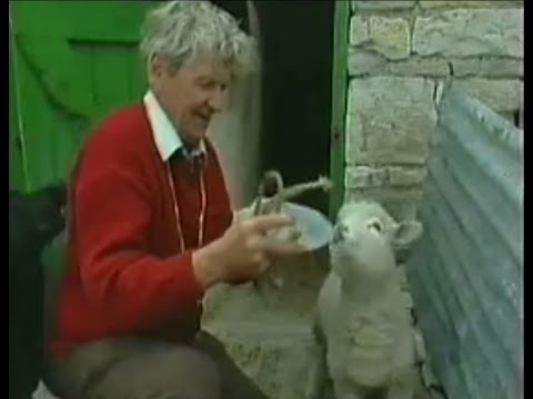 Pob's Program with Dick King-Smith. Episode 2.