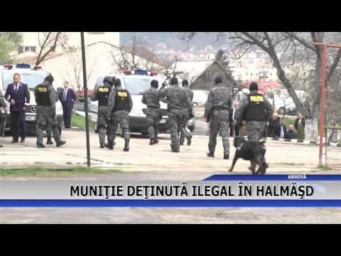 MUNITIE DETINUTA ILEGAL IN HALMASD