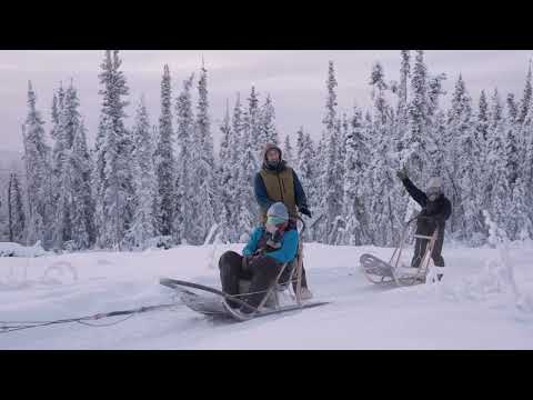 A "Scenic Day Mushing Tour" at Black Spruce Dog Sledding in Fairbanks, Alaska