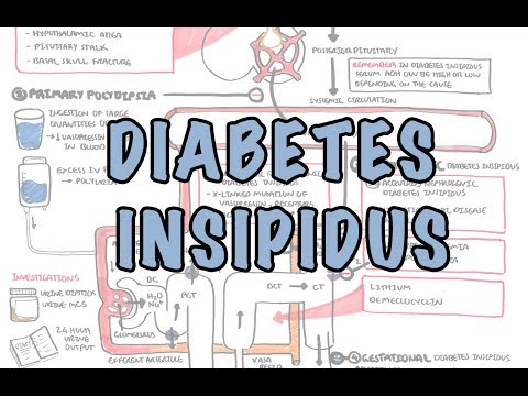 Diabetes Insipidus - Overview (causes, pathophysiology, investigations)