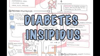 Diabetes Insipidus - Overview (causes, pathophysiology, investigations)
