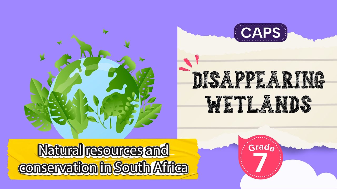 Disappearing Wetlands