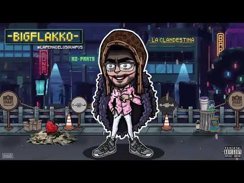 BIGFLAKKO x SKINNYDISS