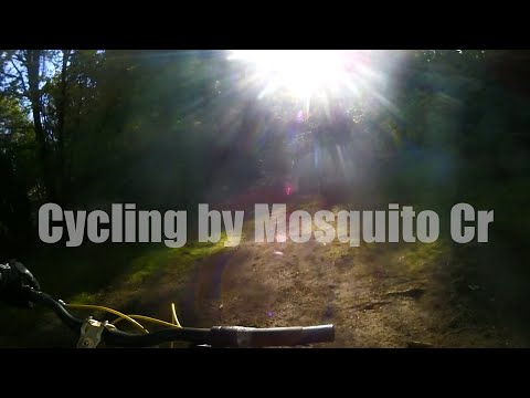 Bicycling through Mosquito Creek and North Vancouver Surroundings Descendre Mosquito Creek à vélo