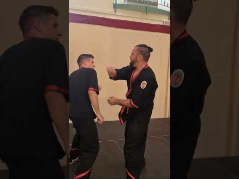 Leung Ting Wing Tsun demo #wingtsun #kungfu #martialarts #selfdefense #ipman #brucelee